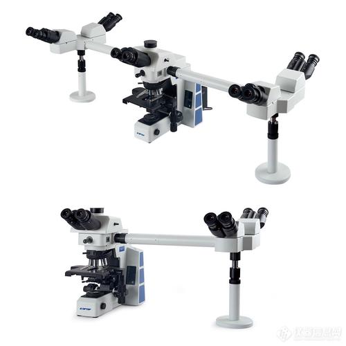 舜宇soptop多人共览生物显微镜rx50do5